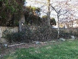 Millenium Garden