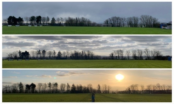 Trees at sunset