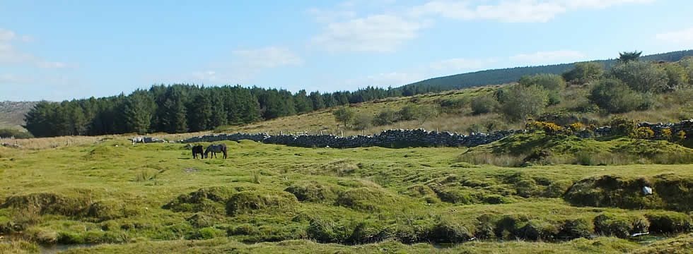 bodminmoor